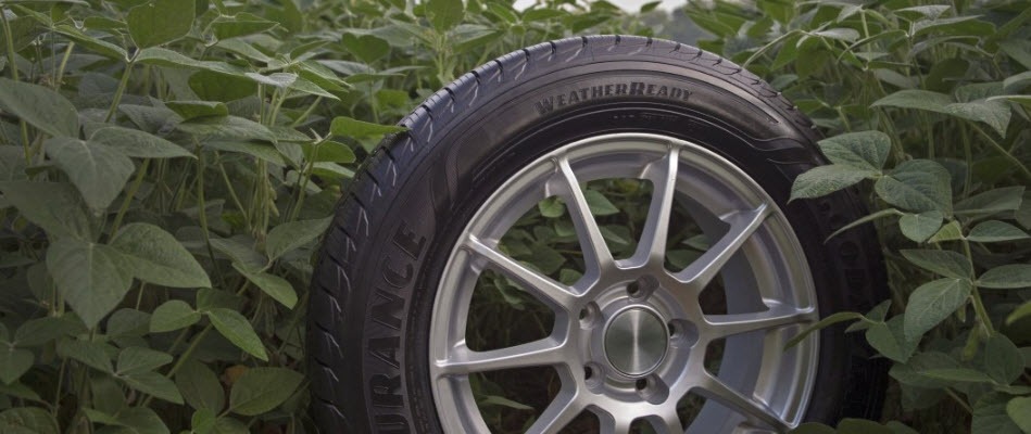 Goodyear буде використовувати соєву олію у всіх шинах до 2040 року